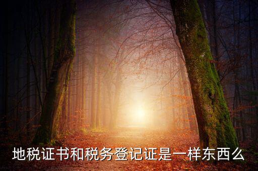 地稅登記證是什么，地方稅納稅資料封面上稅務登記證號是甚么