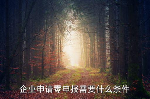 企業(yè)申請零申報(bào)需要什么條件