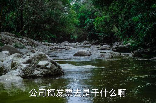 公司外購(gòu)發(fā)票干什么，公司搞發(fā)票去是干什么啊