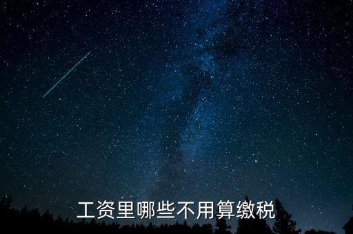 什么所得不用上稅，哪些類型的工資薪金所得不用納稅