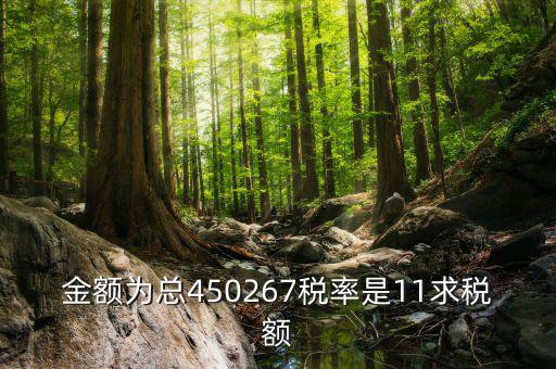 11 是什么稅率，招標(biāo)文件稅率為人工費(fèi)11是什么意思