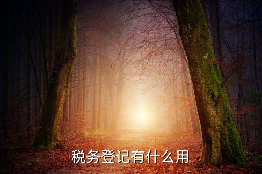 有稅務登記有什么好，稅務登記有什么用