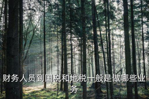 國(guó)稅地稅有什么工作，地稅工作人員有哪些職務(wù)