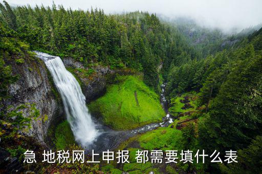 稅務(wù)申報(bào)表用什么填置，怎么填寫稅務(wù)申請表