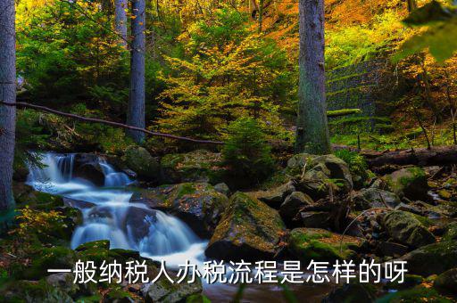 什么是正常辦稅，一般納稅人辦稅流程是怎樣的呀