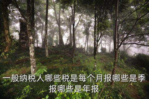 一般納稅人哪些稅是每個月報(bào)哪些是季報(bào)哪些是年報(bào)