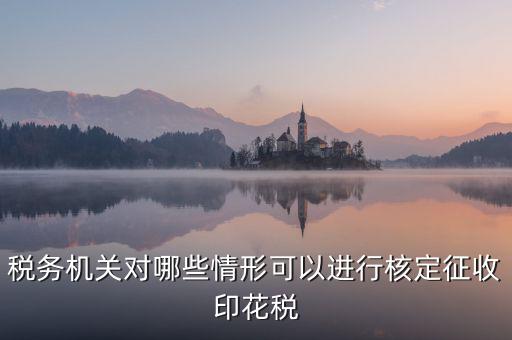 核定印花稅是什么意思，關(guān)于印花稅的核定比例