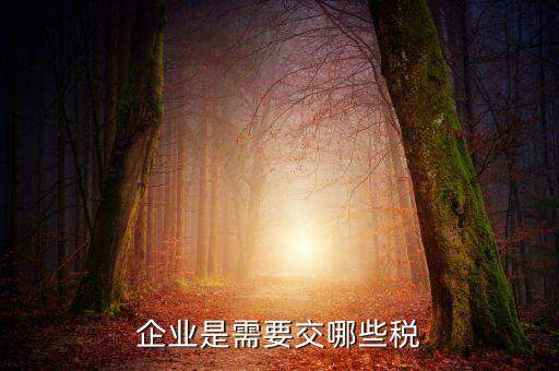 公司要交什么稅，企業(yè)是需要交哪些稅