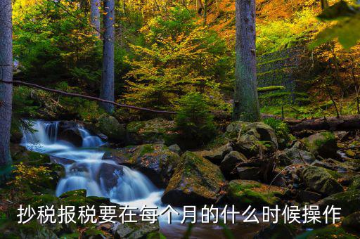 稅控盤什么時候抄報，抄稅報稅要在每個月的什么時候操作