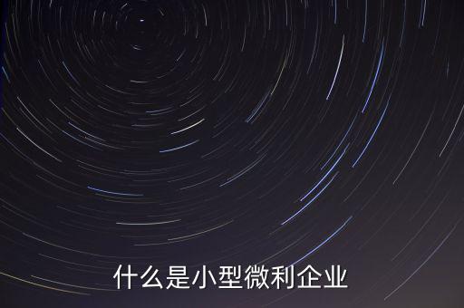 什么是小型微利，什么是小型微利企業(yè)收入從業(yè)人員其它條件