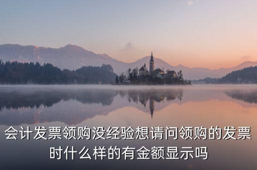 發(fā)票領(lǐng)用單是什么樣的，會計發(fā)票領(lǐng)購沒經(jīng)驗想請問領(lǐng)購的發(fā)票時什么樣的有金額顯示嗎