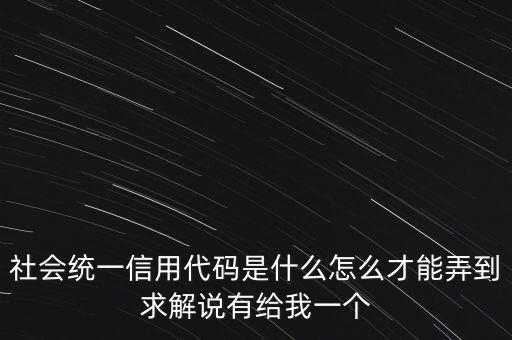 統(tǒng)一社會信用代碼指什么意思，深圳碼統(tǒng)一社會信用代碼是什么