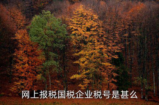 國稅稅務(wù)號是什么，國稅納稅號碼 是不是就是稅務(wù)通知書上那個(gè)納稅人識別號