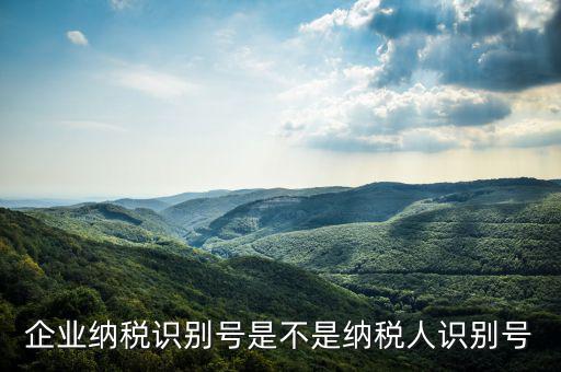 公司納稅識(shí)別號(hào)是什么，納稅人識(shí)別號(hào)是什么