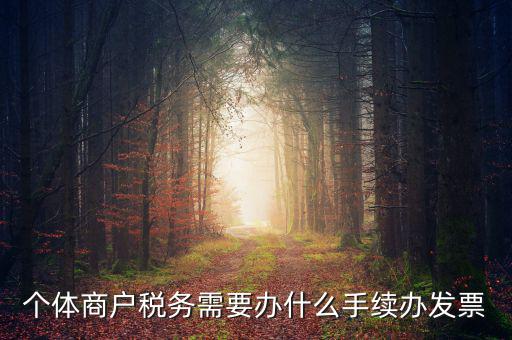 個(gè)體商戶(hù)稅務(wù)需要辦什么手續(xù)辦發(fā)票