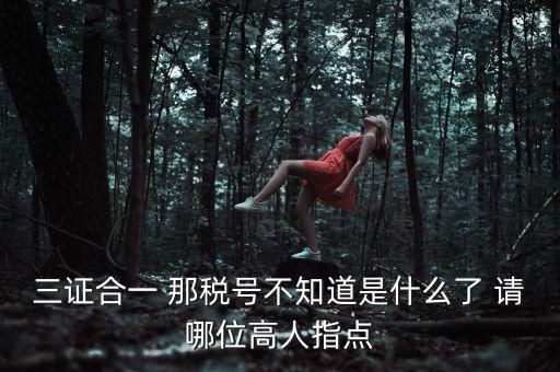 三證合一后的發(fā)票稅號是什么意思，三證合一 那稅號不知道是什么了 請哪位高人指點(diǎn)
