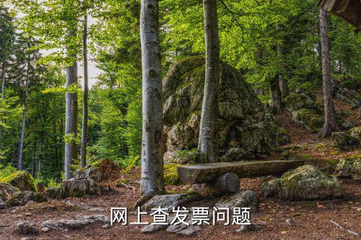 查發(fā)票流向什么意思，網(wǎng)上查發(fā)票問(wèn)題