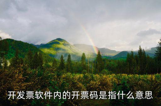 手工發(fā)票代碼什么意思，請(qǐng)問(wèn)我發(fā)票代碼第8位9位分別是BK是什么意思