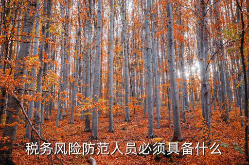 稅務風險防范人員必須具備什么