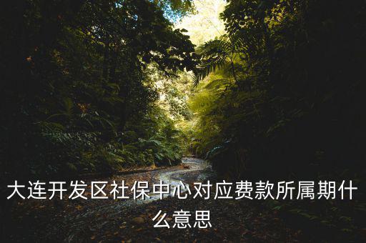 社保所屬期是什么意思，大連開發(fā)區(qū)社保中心對應(yīng)費款所屬期什么意思