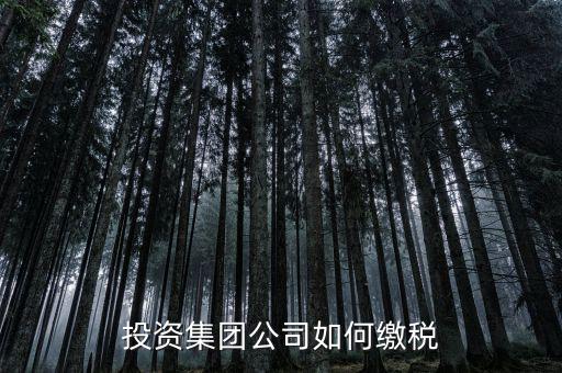 投資公司交什么稅2017，投資集團公司如何繳稅