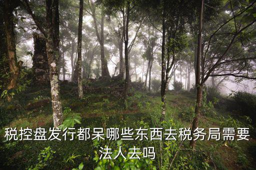 辦理稅控盤去什么地方，稅控盤發(fā)行都呆哪些東西去稅務局需要法人去嗎