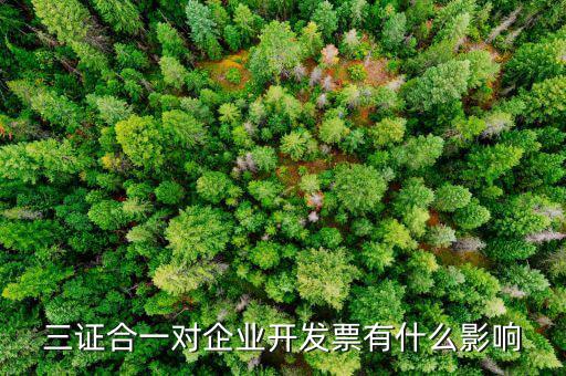 稅務(wù)三合一有什么好處，三合一后舊發(fā)票章能用嗎