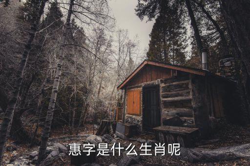 惠稅無憂的密碼是什么，自噴漆稅收商品編碼是多少