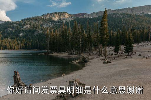 什么是個(gè)稅明細(xì)，個(gè)稅是什么是干嘛的詳細(xì)點(diǎn)哈