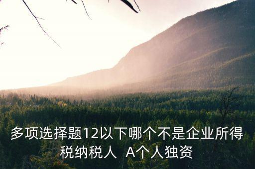 什么納稅人，多項選擇題12以下哪個不是企業(yè)所得稅納稅人  A個人獨(dú)資