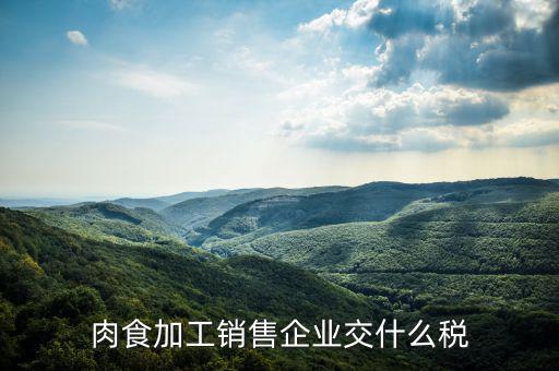 賣肉類交什么地稅，批發(fā)肉類的稅是多少