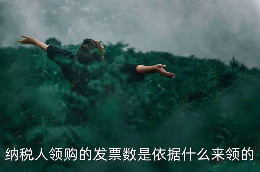 為什么領(lǐng)票人是納稅人，發(fā)票領(lǐng)購簿上的章子與納稅人名稱不一樣是怎么回事