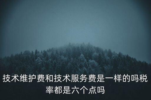技術(shù)維戶費交什么稅，維修費交什么稅