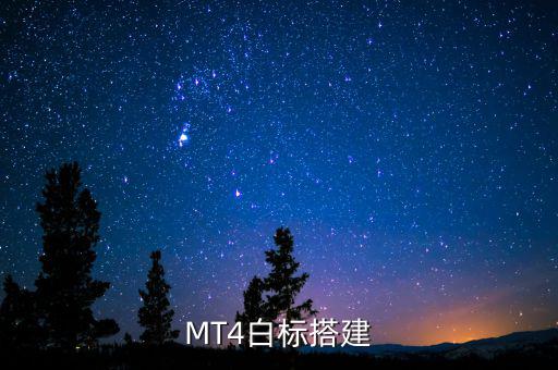 稅務(wù)系統(tǒng)為什么進(jìn)行容災(zāi)建設(shè)，小微企業(yè)該購買什么樣的服務(wù)器涉及生產(chǎn)倉儲(chǔ)銷售和財(cái)務(wù)等  搜
