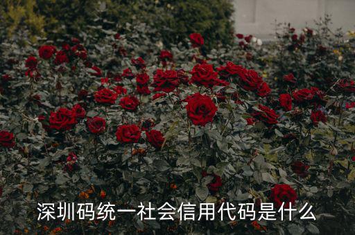 統(tǒng)一社會信用代碼指什么影響，深圳碼統(tǒng)一社會信用代碼是什么