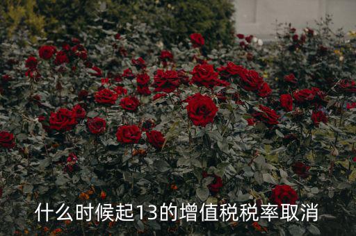 13稅率什么時候取消，什么時候起13的增值稅稅率取消
