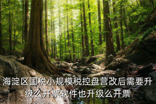 稅控盤為什么要升級，稅控盤鎖了找稅務專管員處理了說拿回來要升級一下怎么升級
