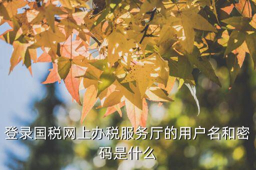 江蘇國(guó)稅電子稅務(wù)局登錄用戶名是什么，江蘇國(guó)稅網(wǎng)上辦稅服務(wù)廳的用戶名是什么