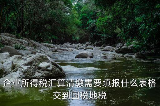 匯算清繳填寫什么表格，請教關(guān)于企業(yè)所得稅匯算清繳中需要填寫的表格的一些問題