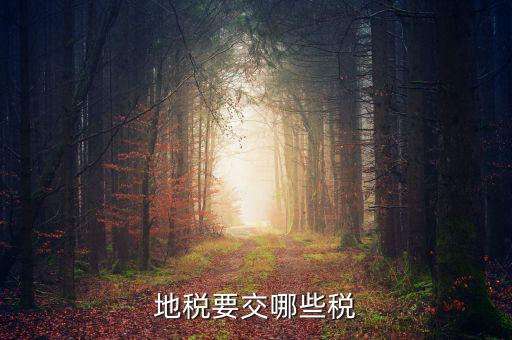 地稅需要交什么稅，地稅應(yīng)交哪些稅
