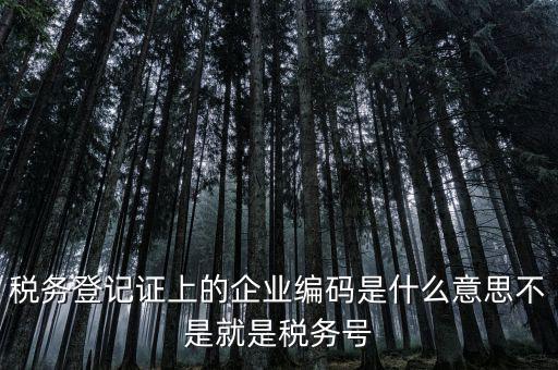 稅務編碼是什么意思，稅務登記證上的企業(yè)編碼是什么意思不是就是稅務號