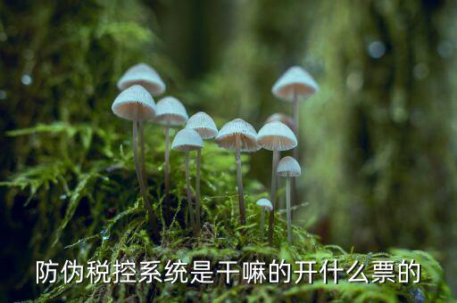 什么是稅控系統(tǒng)數(shù)據(jù)，金稅盤是什么