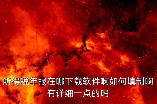 長春國稅需要下載什么，長春市個(gè)人所得稅軟件在哪里下載怎么使用啊