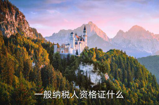 什么是一般納稅人證明，一般納稅人資格證什么