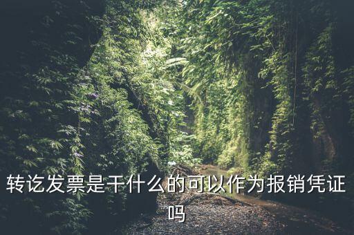 什么叫轉(zhuǎn)發(fā)票，我開了一張農(nóng)村合作信用社的轉(zhuǎn)賬發(fā)票請(qǐng)問什么是對(duì)應(yīng)發(fā)票