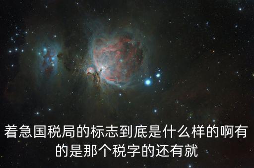 稅優(yōu)識別碼是什么樣的，納稅人辨認(rèn)號和代碼是1樣的
