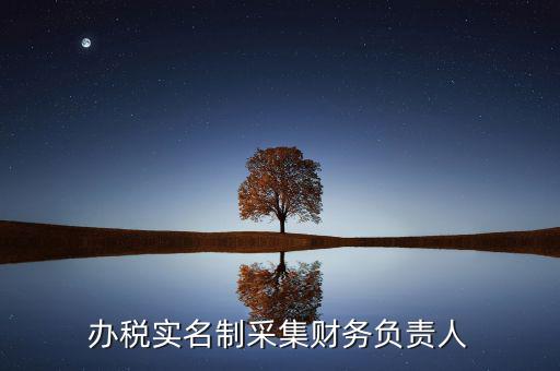 什么是實(shí)名辦稅，辦稅實(shí)名制采集財(cái)務(wù)負(fù)責(zé)人