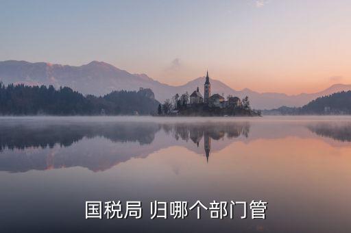 國(guó)稅直屬局管什么，國(guó)稅局 歸哪個(gè)部門(mén)管