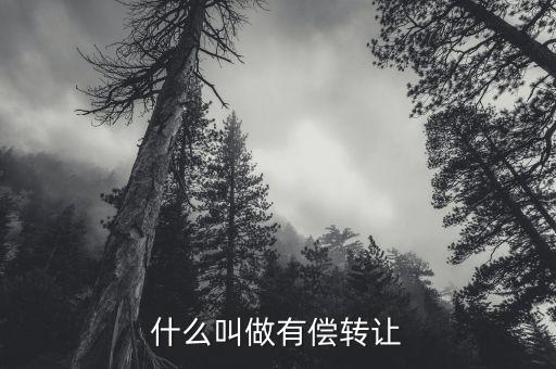 有償轉移安置什么意思，有償轉發(fā)什么意思