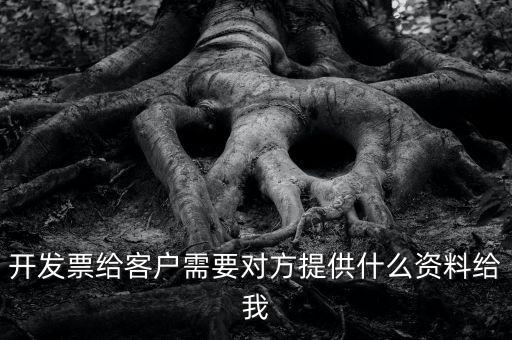 開票需要對方提供什么資料嗎，開發(fā)票給客戶需要對方提供什么資料給我
